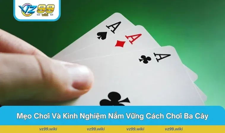Người chơi tập trung quan sát đối thủ trong ván bài thực tế