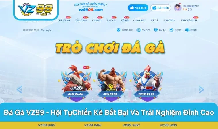 Trận đấu gay cấn giữa hai chiến kê trại trường gà VZ99
