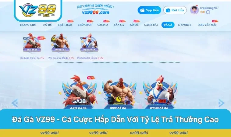 Người chơi say mê phân tích kèo cược tại VZ99