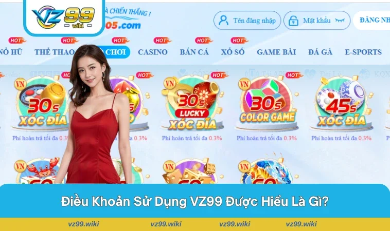 Định nghĩa và vai trò của điều khoản sử dụng tại VZ99