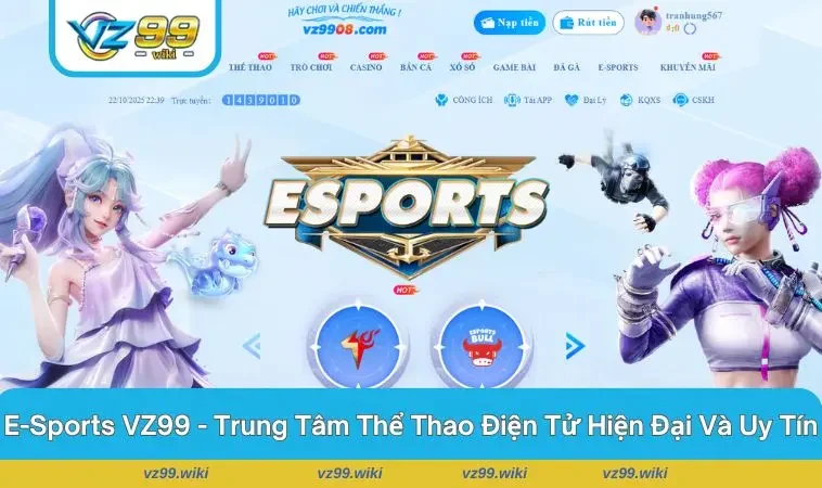 Không khí sôi động của các trận đấu tại VVZ99 - nơi cảm xúc bùng nổ