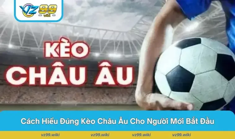 Bảng tỷ lệ kèo phổ biến tại các nhà cái hiện nay 