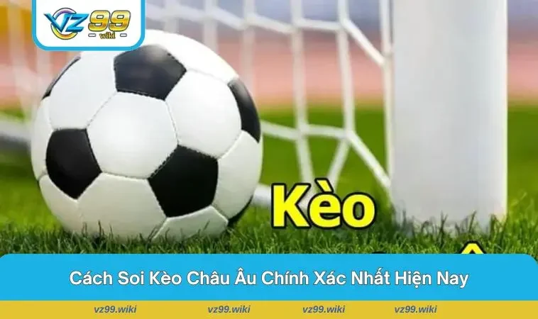 Người chơi soi kèo để chọn cửa cược có lợi nhất cho bản thân 