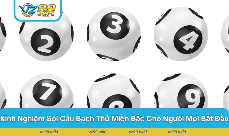 Kiên trì theo cầu mạnh - Bí kíp vàng trong soi bạch thủ