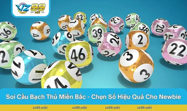Soi Cầu Bạch Thủ Miền Bắc – Bí Quyết Cao Thủ Tìm Con Số Vàng