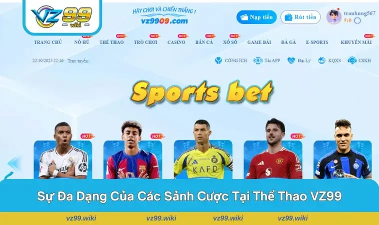 Giao diện đặt cược thân thiện và chuyên nghiệp của sảnh