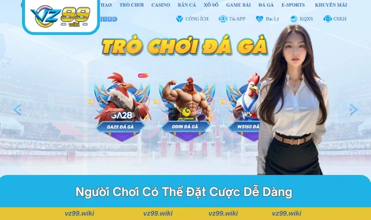 Các trận đá gà trực tiếp kịch tính được truyền hình sắc nét